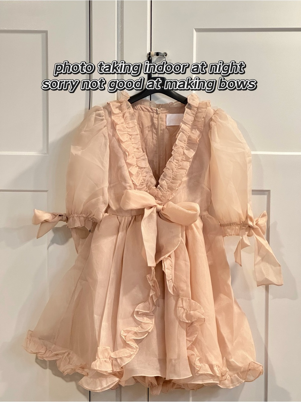 Selkie Sparrow Marie Dress - Blush Pink Ruffle Dress (VERY NEW) - Picture 4 of 9